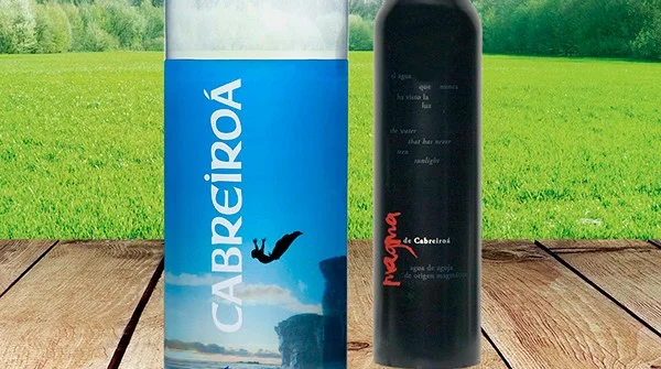 Grafica Magma 41