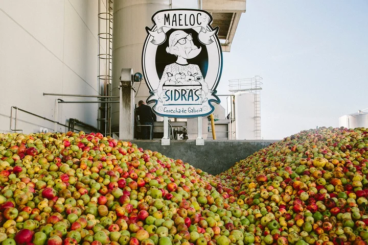Cosecha Manzana MAELOC 11