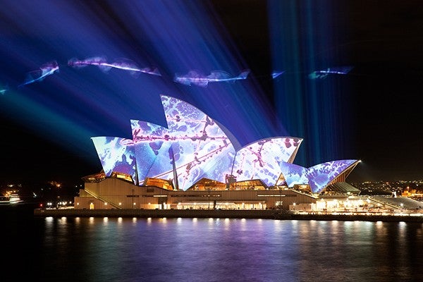 Sydney Opera House 8