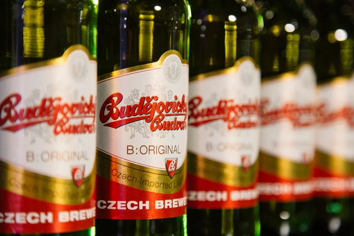 Budejgvicky Budvar Z 8 a