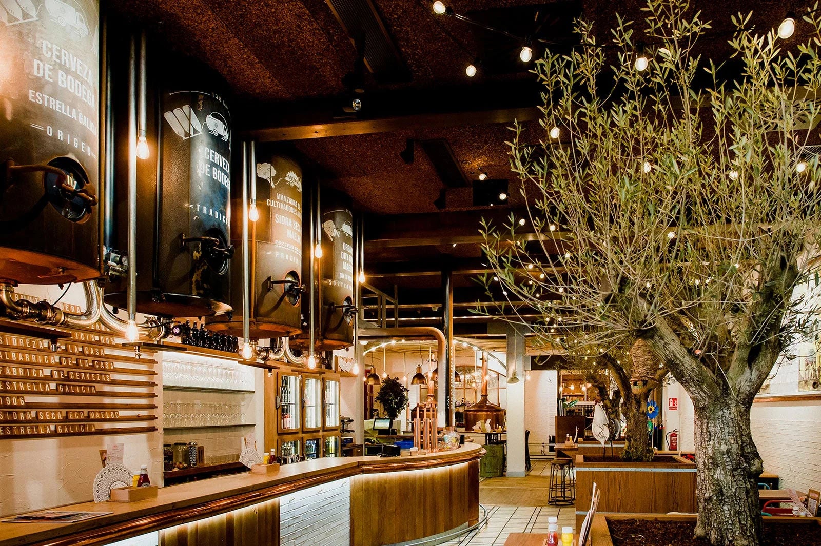 Bar Árbol olivo