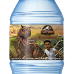 33 CL 3