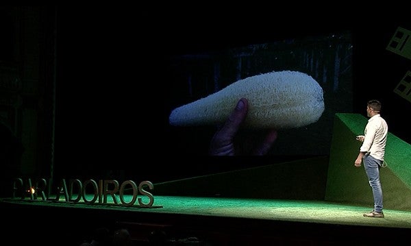 Luffa 1