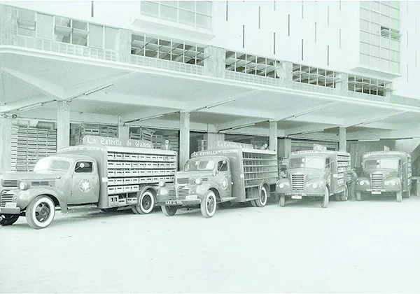 Anos 50