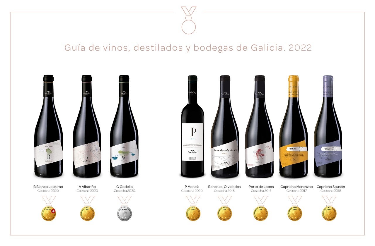 PDB Guia Paadin 2022
