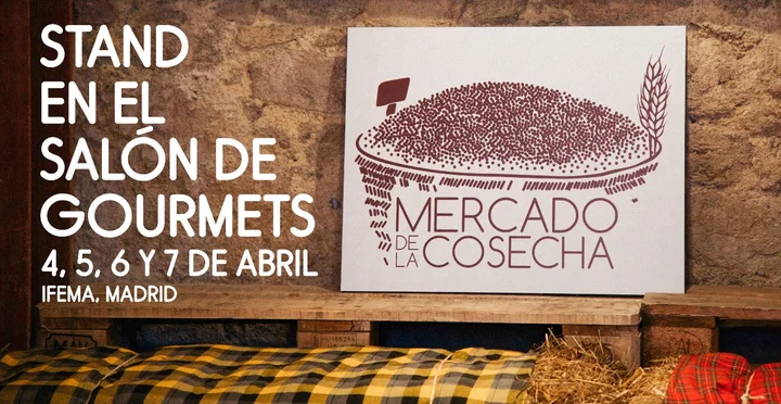 PORTADA MDC