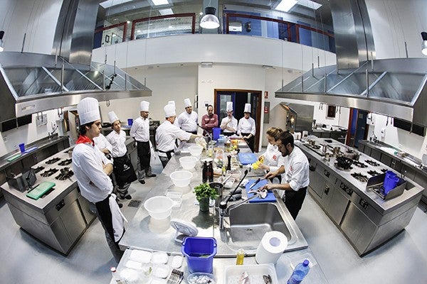 Cocooking 2