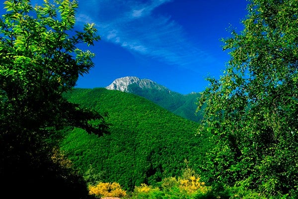 Paisaje Cuevas