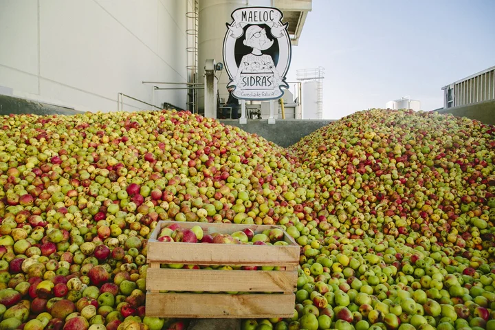 Cosecha Manzana Maeloc