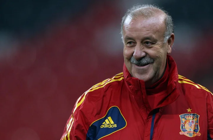 Vicente del Bosque
