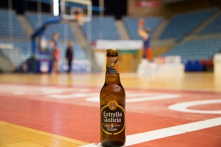 ESTRELLA OBRA 6