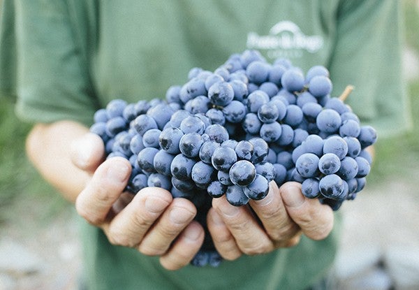 Ponte da Boga Bodega Corazon Ribeira Sacra 3