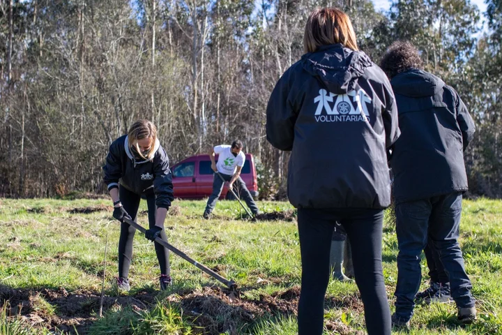 Reforestacion 2 1