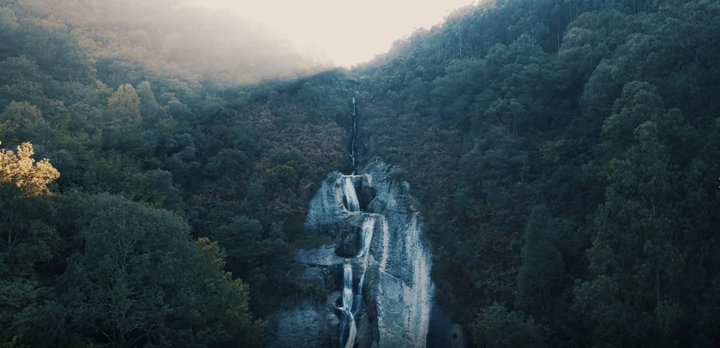 cascada de agua en el bosque